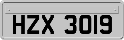 HZX3019