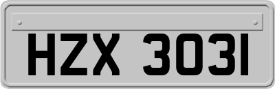 HZX3031