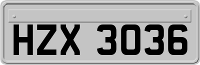 HZX3036