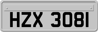 HZX3081