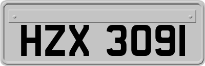 HZX3091