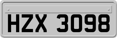 HZX3098