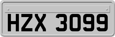 HZX3099