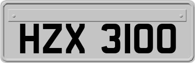 HZX3100