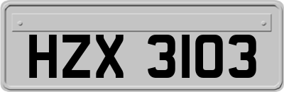 HZX3103