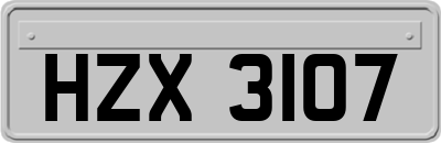 HZX3107