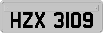 HZX3109