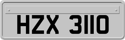 HZX3110