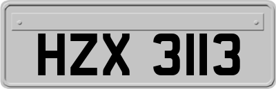 HZX3113