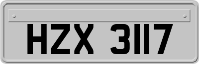 HZX3117