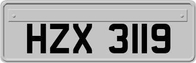HZX3119