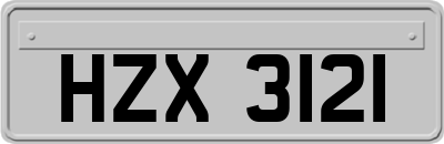 HZX3121