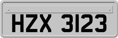 HZX3123
