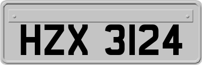 HZX3124
