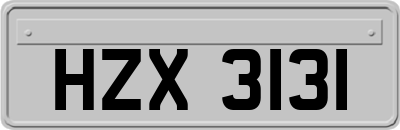 HZX3131