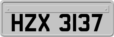 HZX3137