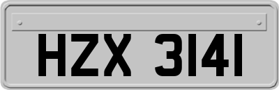 HZX3141