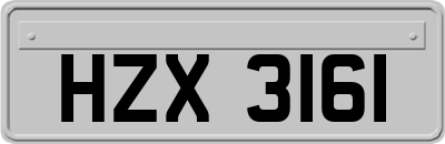 HZX3161
