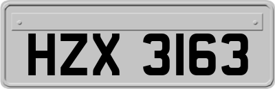 HZX3163