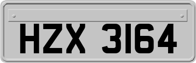 HZX3164