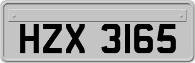 HZX3165