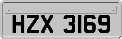 HZX3169