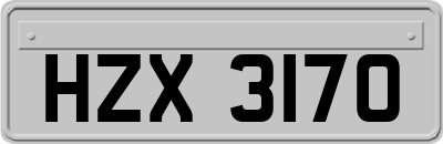 HZX3170