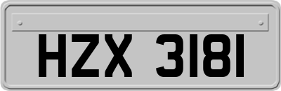 HZX3181