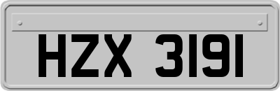 HZX3191