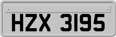 HZX3195