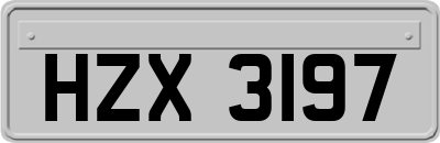 HZX3197