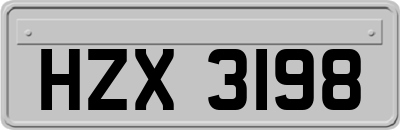HZX3198