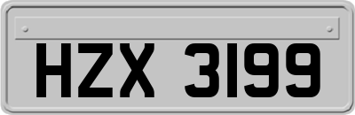 HZX3199