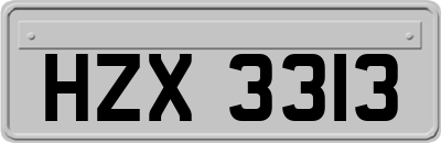 HZX3313