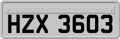 HZX3603