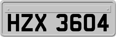 HZX3604