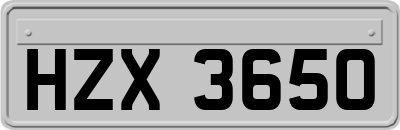 HZX3650