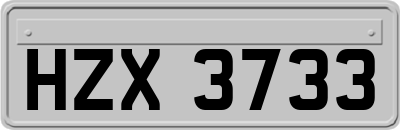 HZX3733