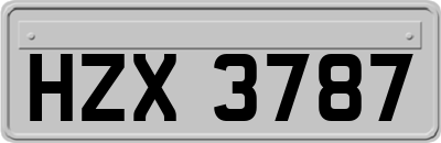 HZX3787