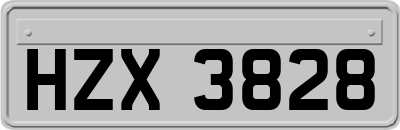 HZX3828