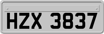 HZX3837