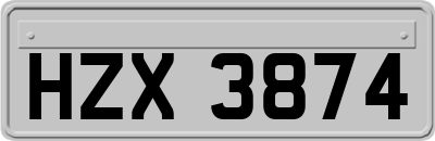 HZX3874