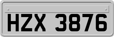HZX3876