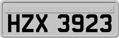 HZX3923