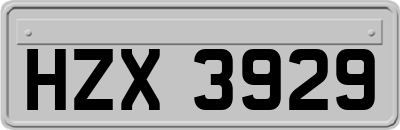 HZX3929