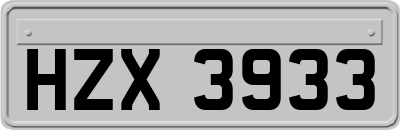 HZX3933