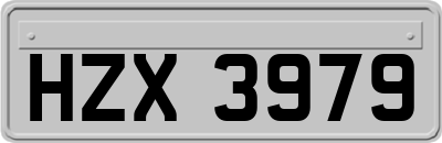 HZX3979