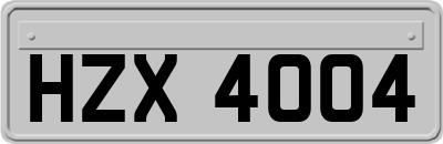 HZX4004