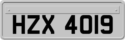 HZX4019
