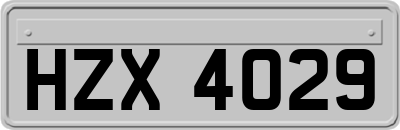 HZX4029